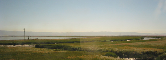 South Bay Wetlands from Mulford Line